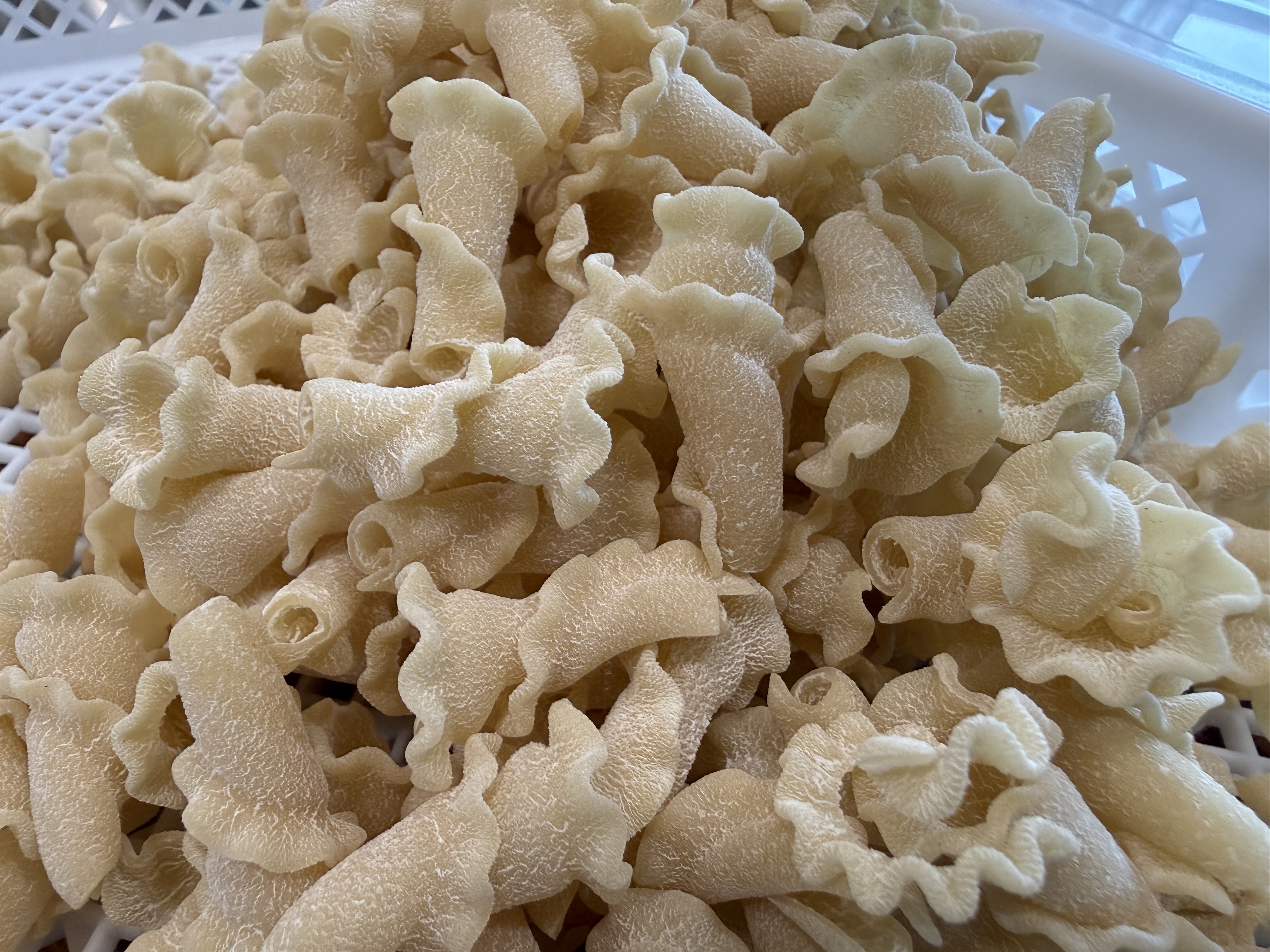 Dried Campanelle pasta