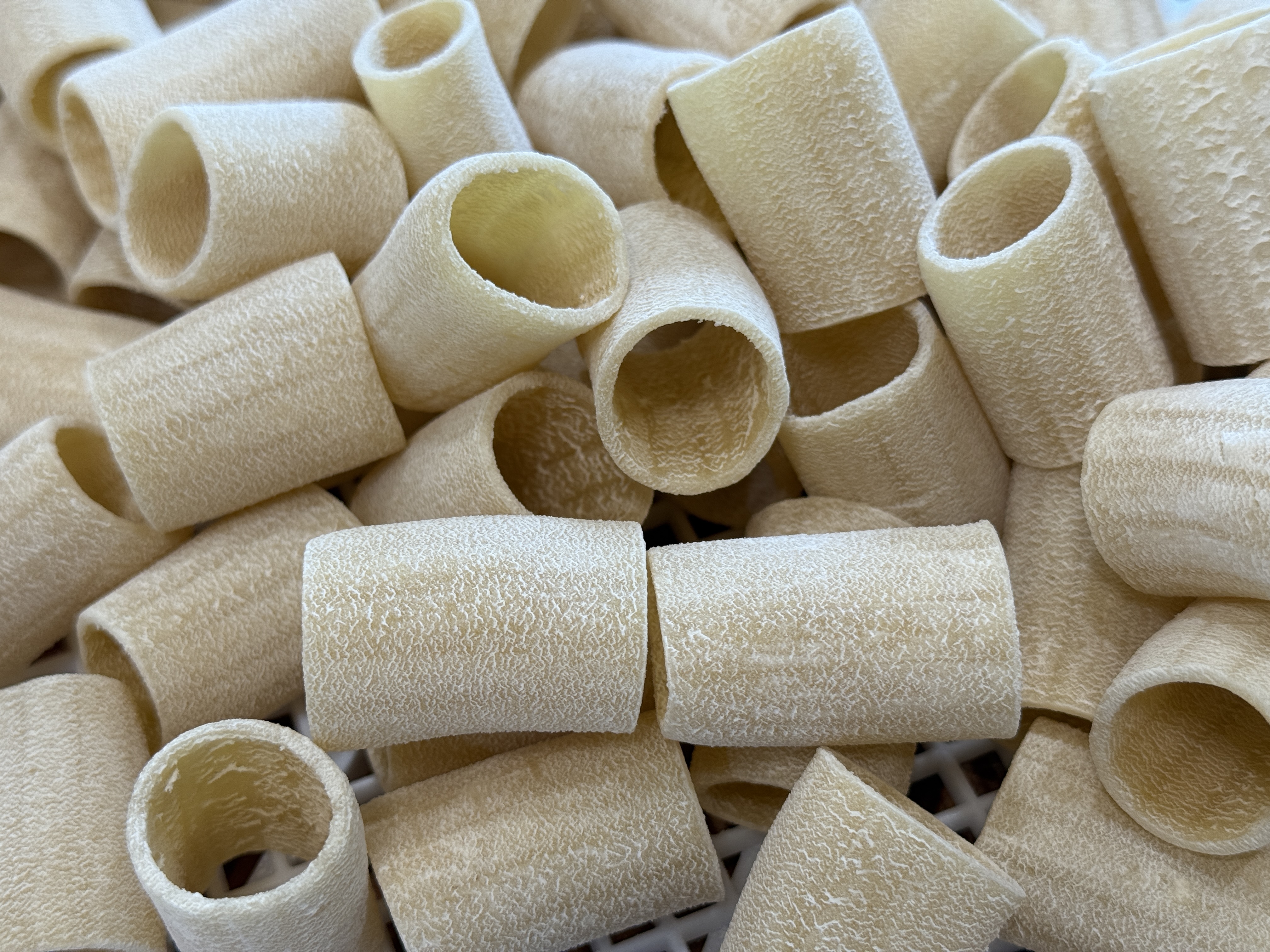 Dried Paccheri pasta