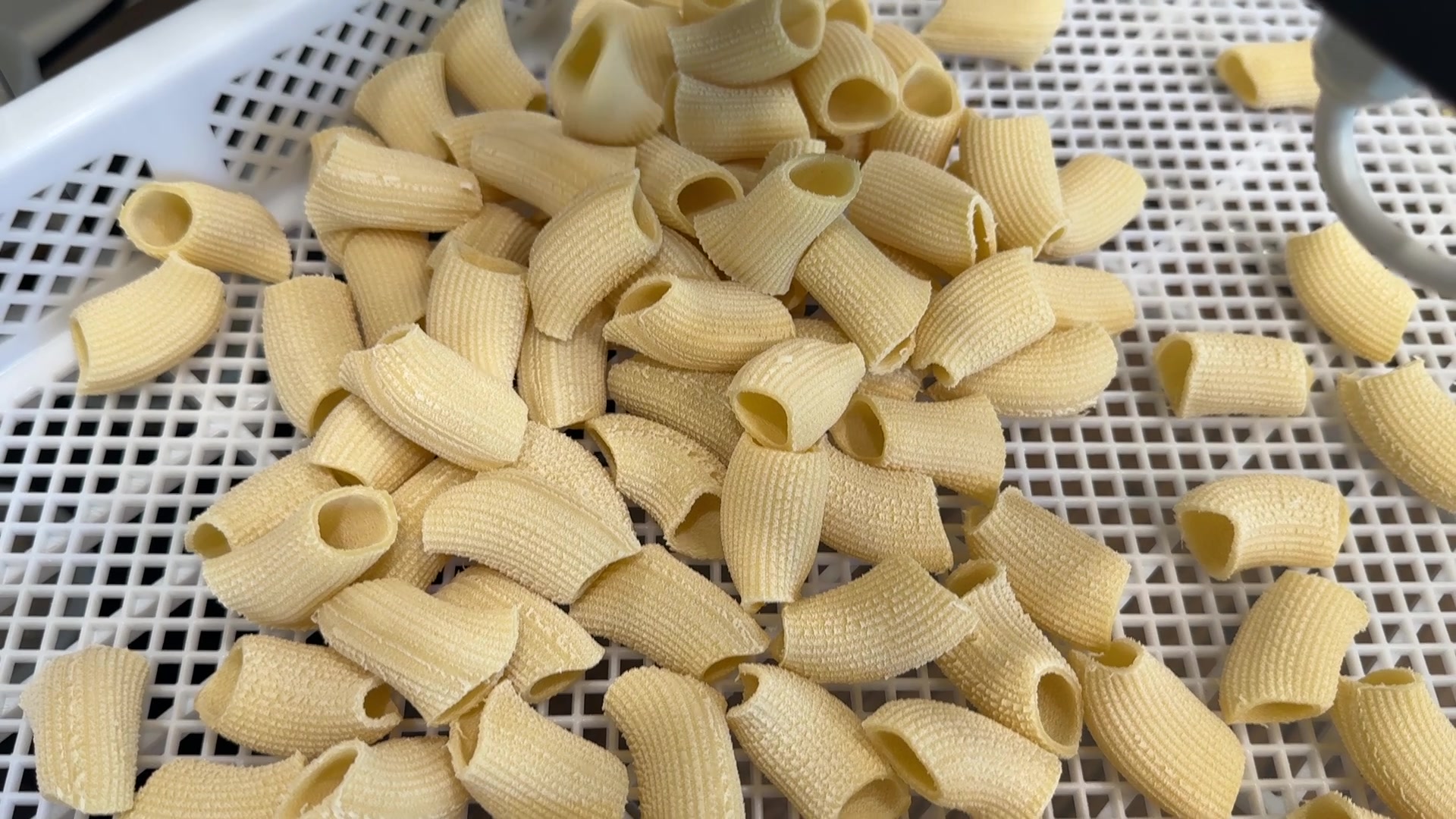 Small-batch pasta from Un po' di tutto