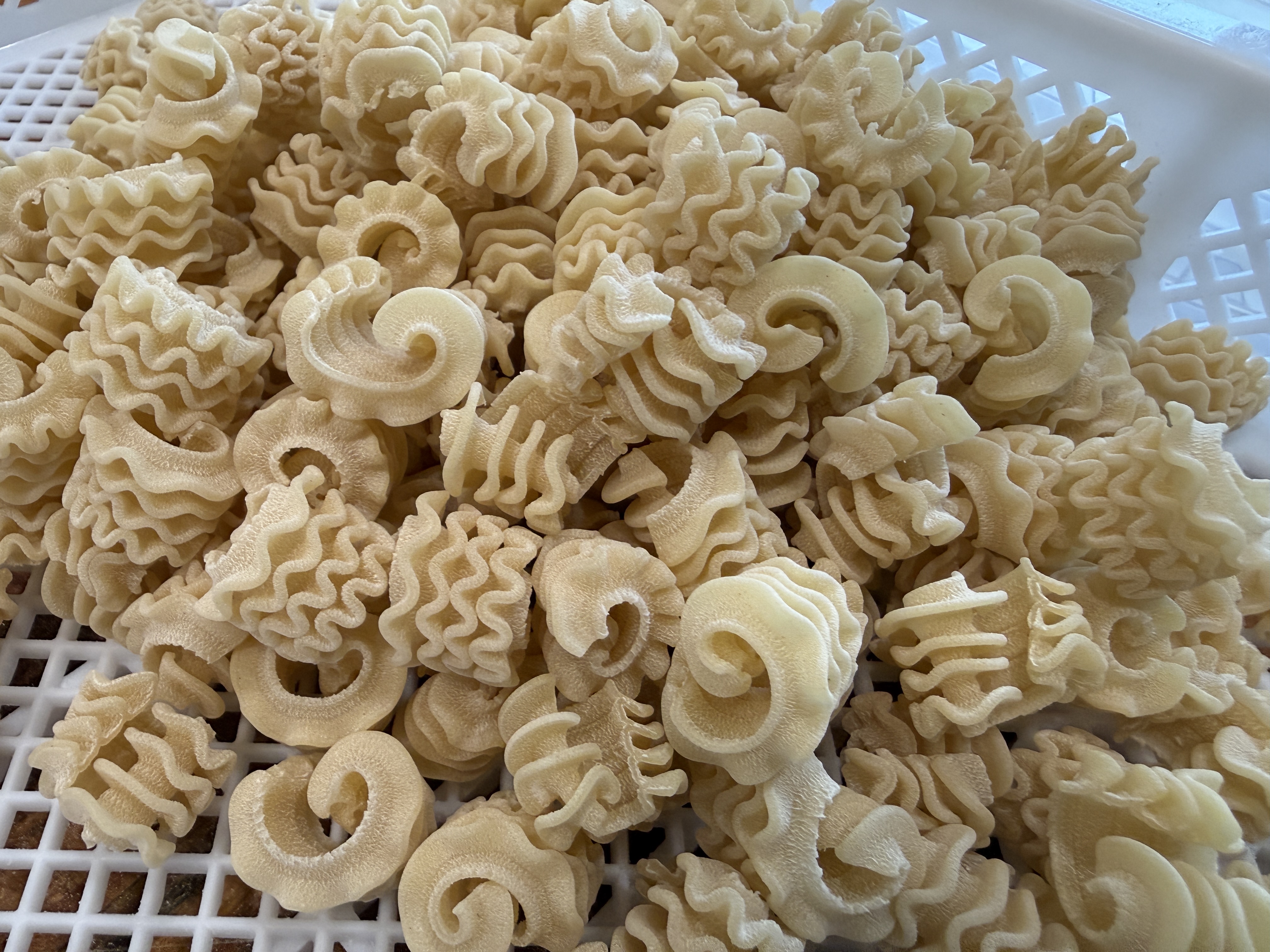 Dried Radiatori pasta