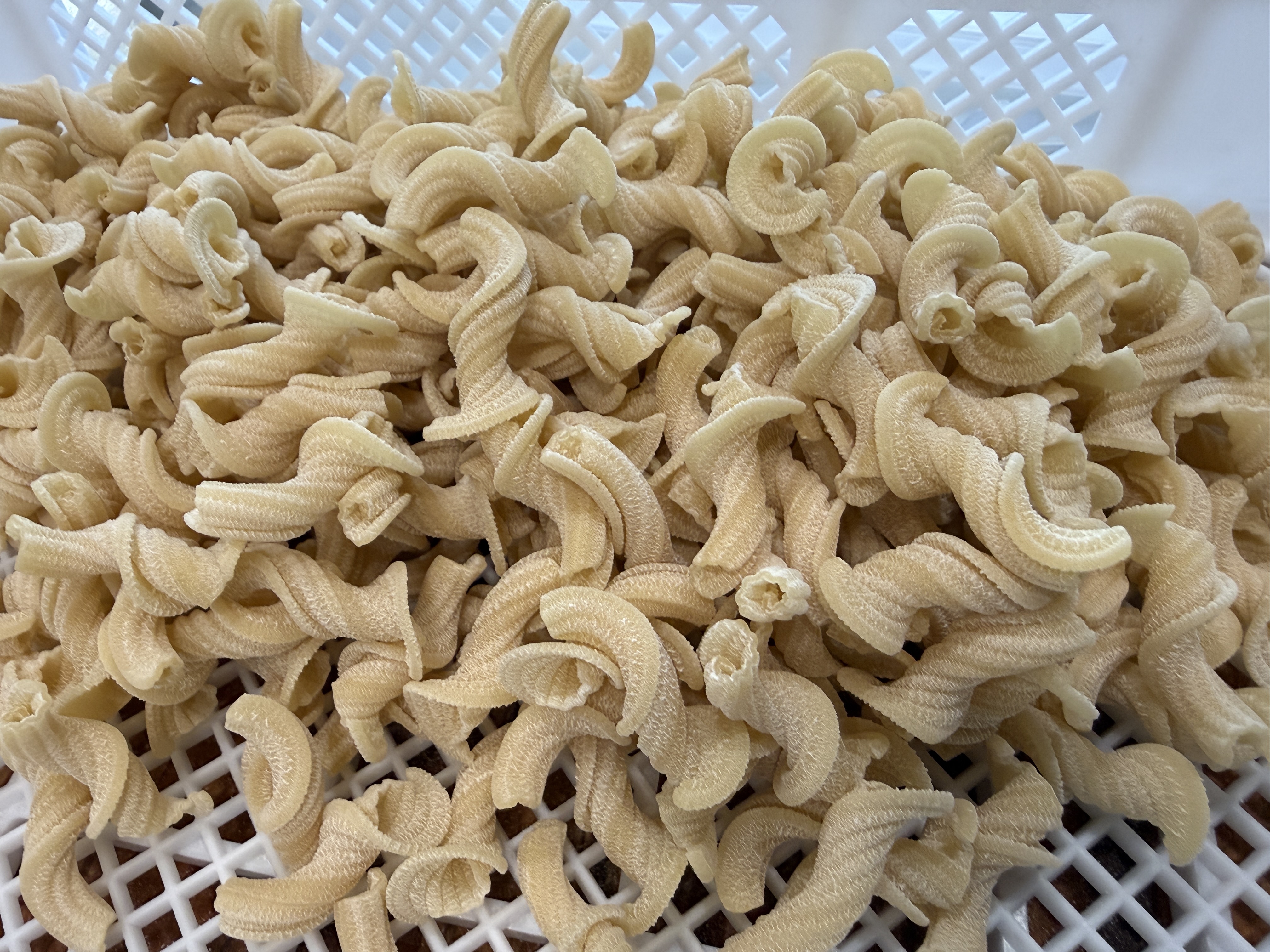 Dried Torchietti pasta